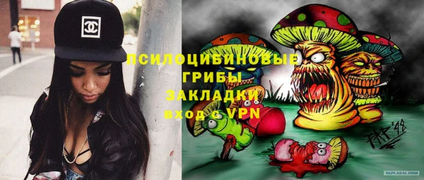 твердый Алексеевка