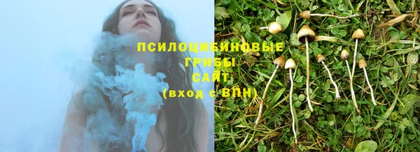 ECSTASY Алексин